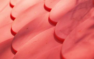 Bushmead plastic roof costs